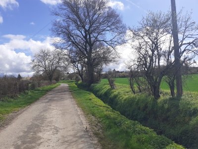 10- Boucle des Beugnes à La Celle