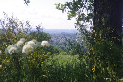 GRP®Monts et Barrages en Limousin - Etape 2 - De Bujaleuf à Saint-Julien-le-Petit