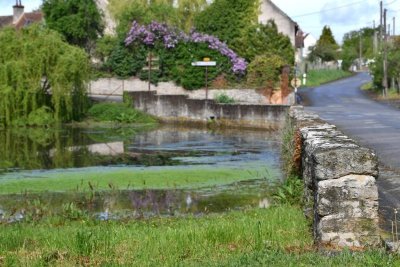 Le héron et la tortue