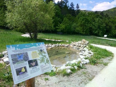 "Les affûts d'étoiles" parcours artistique nocturne dans la Forêt de Beynaves