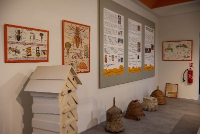 Maison de la Ruche et des Abeilles du Gâtinais