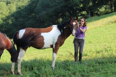 Chapitalia, balades à cheval
