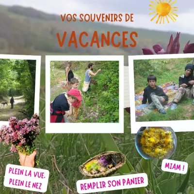 Nos Fibres Sauvages : activités d' immersion en nature