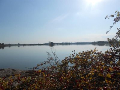 Plaine et étang du Bischwald