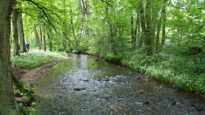 Circuit course à pied Sentier de l'Ehn