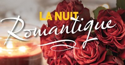 CHÂTEAU DE CASTELNOU