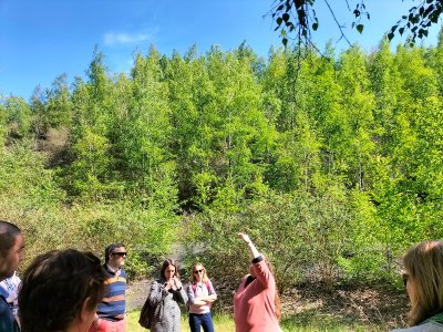 Terril de l'Escarpelle