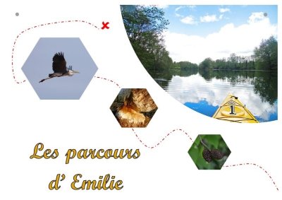 Sortie en dragon boat sur la Moselle - ALTCK