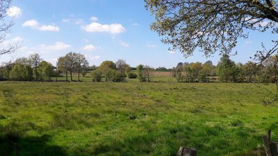 Le marais de Truttemer