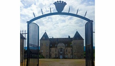 Des sous-bois à la rivière de l'Ognon
