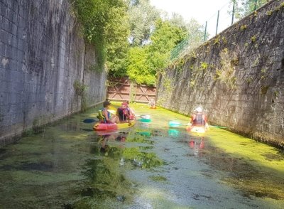 Descente encadrée de la Moselle naturelle - ALTCK