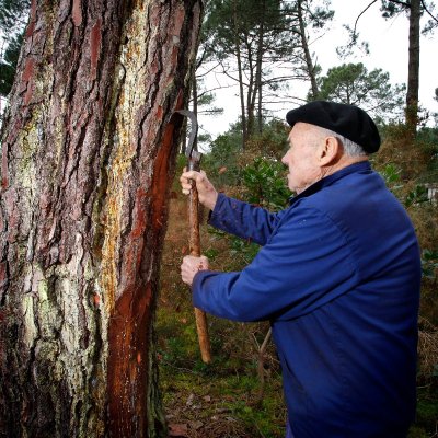 Circuit rando de Cugnes