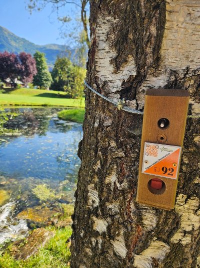 Parcours d'orientation VTT & GRAVEL (boucle sud)