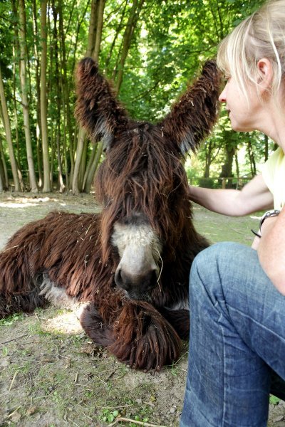 Ferme pédagogique de Pontoise - Les Z'Herbes Folles