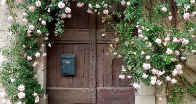 Roseraie conservatoire