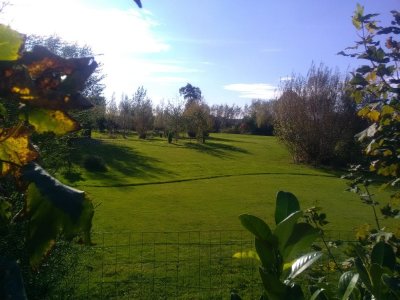 Putting Golf des Flandres