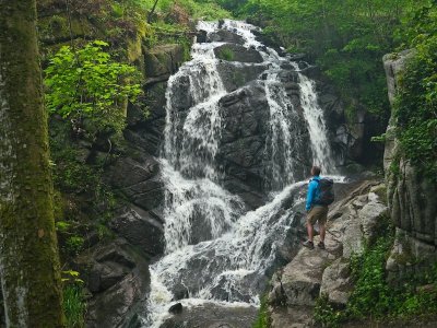 La ferme des mille et une découvertes