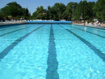 Le jardin des hirondelles