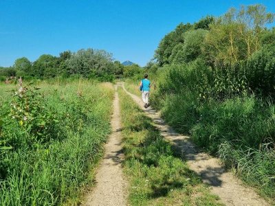 Observatoire ornithologique des Rohrmatten