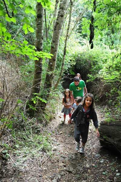 La Fontaine de la Grimaudière et les bois de Melle