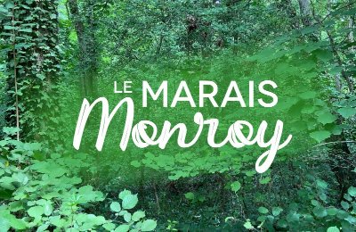 Marais Monroy