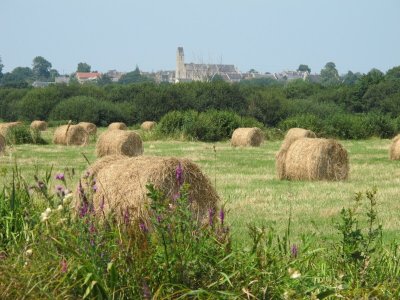 Les Marais de l'Elle