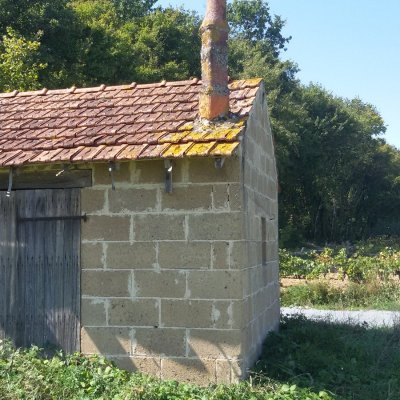 Les cabanes de vigne