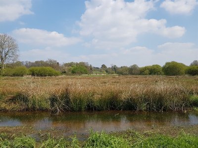 Circuit du Bellion : Marais de Fégréac