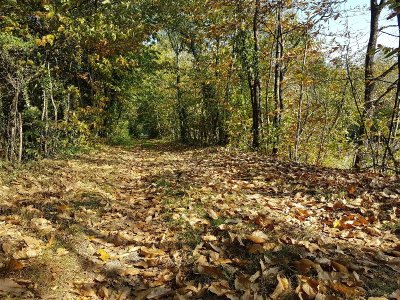 Circuit de la Marquise