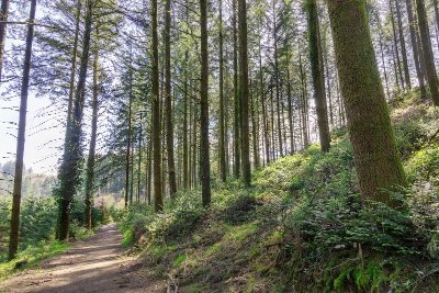 Boucle des chemins creux