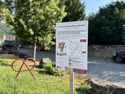 Le chemin des bouchons enchantés, l'histoire du Rouge d'Ottrott