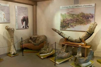 Musée de Paléontologie Christian Guth