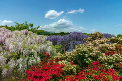 Jardin botanique et de soin