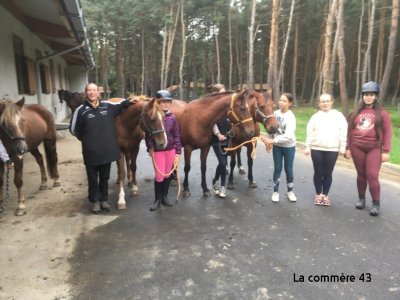 Centre équestre | La Crinière Saugaine