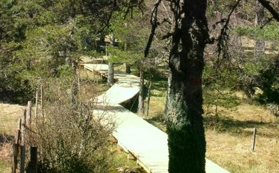 Tourbière du Valat de La Planche