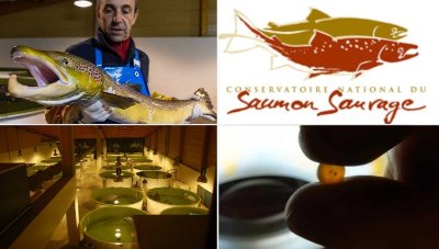 Conservatoire National du Saumon Sauvage