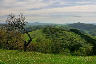 Volcan du Pié Rouge