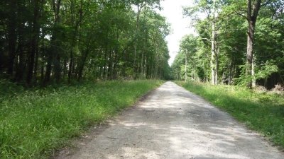 2- Boucle en forêt d'Arpheuilles