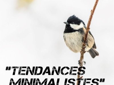 33ème Festival international du film fantastique de Gérardmer