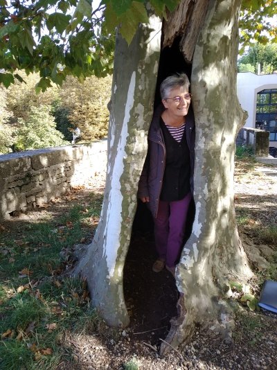 Véronique Mangold

Tous les jours