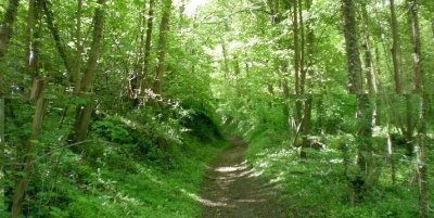Les vignes de Faÿ (variante depuis la gare)