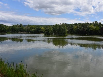 Etang d'Anneyron -base de l'Argentelle