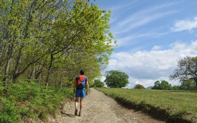 Balade à Roulettes n°37 : Le parc des berges de la Nivelle à Saint-Pée-sur-Nivelle