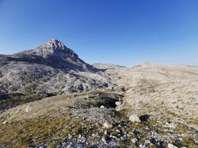 Randonnée hivernale sur les traces de la faune sauvage