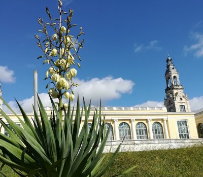 Balade à roulettes N°24 - Promenade au parc Beaumont à Pau