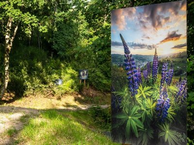 Balade photographique de La Vierge