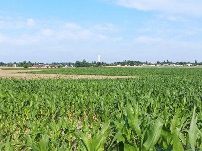 Entre plaine et forêt ©FFRandonnée / CDRP 45