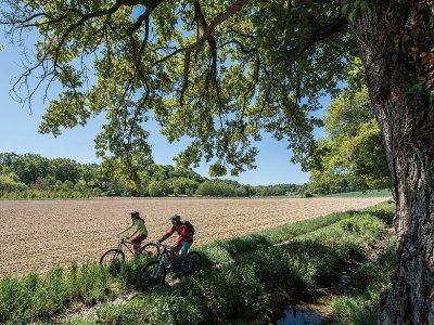 Les balcons du temps : de la villa gallo-romaine à la bastide de Garlin