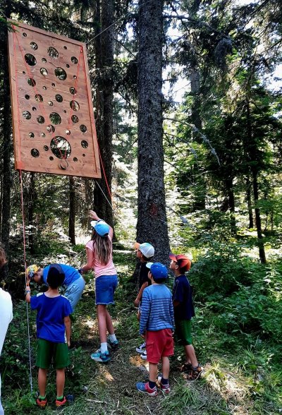 Parcours ludique des Narces - Enquête au fil des arbres