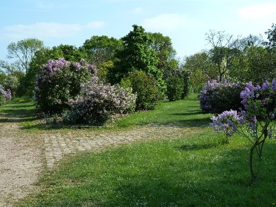 Arboretum - Jardin botanique de Paris